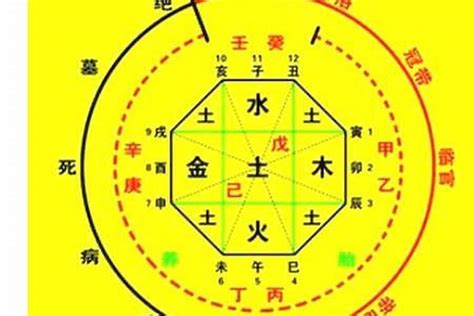 喜神 木|八字的喜用神与忌神详解